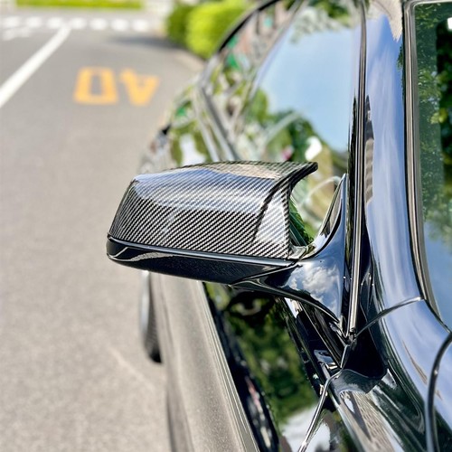 Carbon fiber look - wing, mirror