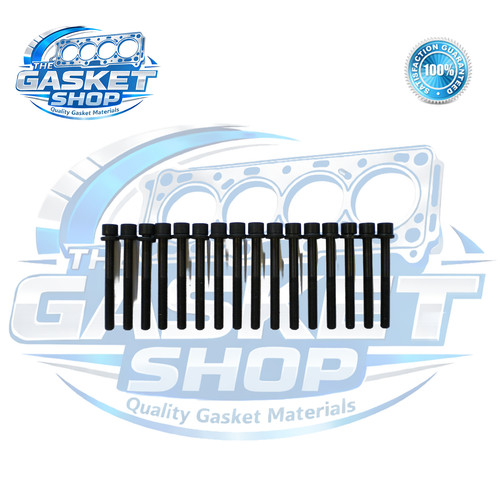 Cylinder head bolts - head,