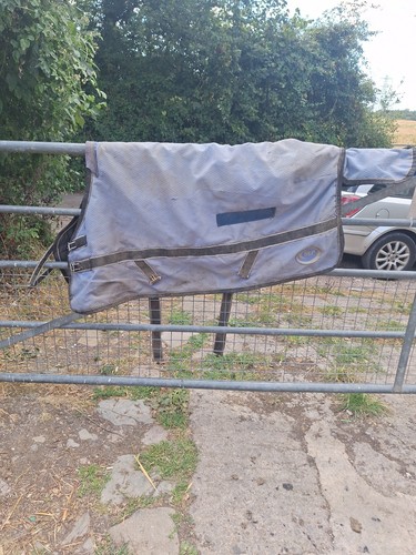 Lightweight turnout rug 3 - lightweight,