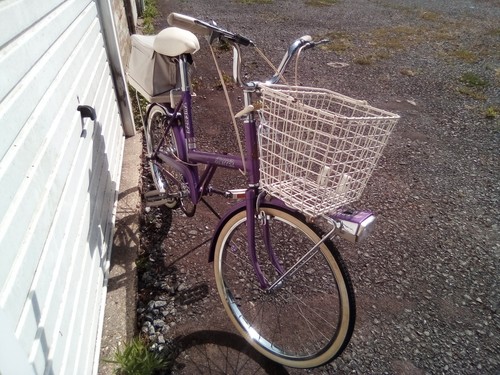 Raleigh twenty shopper rare - raleigh,