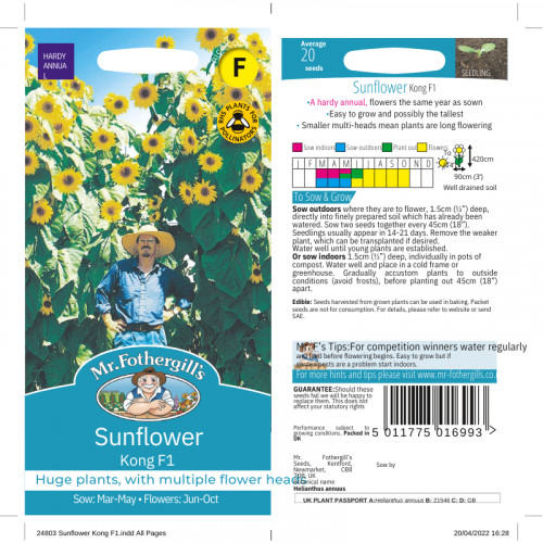 Sunflower seeds kong - sunflower,