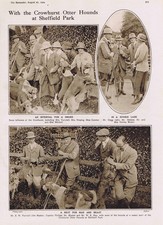 Hunting crowhurst otter hounds - otter,