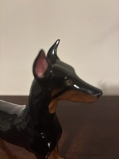 Royal Daulton Doberman pincher