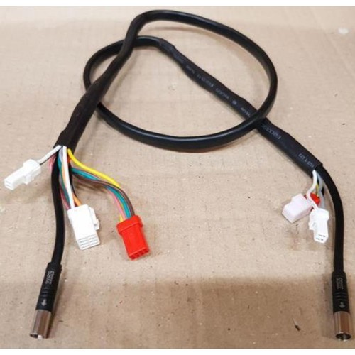 Giant ebike main line display - ebike,
