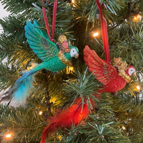 Carnival jungle parrot - carnival,
