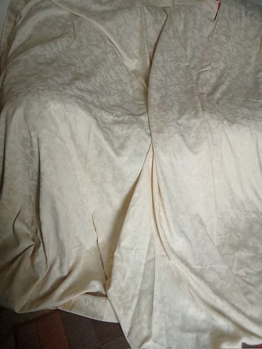 Pale gold cream damask - gold,