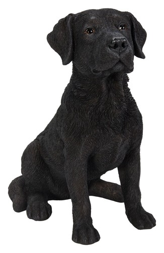 Vivid arts black labrador dog - vivid,