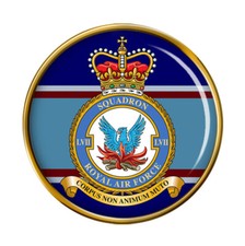 57 Squadron, RAF Pin Badge