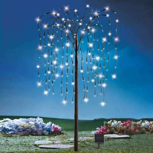 Foot solar lighted - 4,