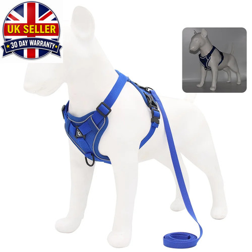 Small dog harness and - dog,