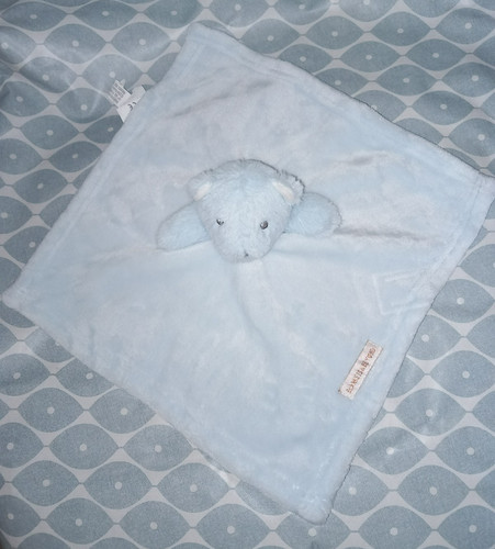 Blankets beyond blue teddy - &,