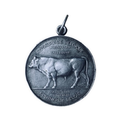 Belgian silver medal hainaut - medal,