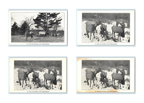 Lot elk range farm east - of, 4