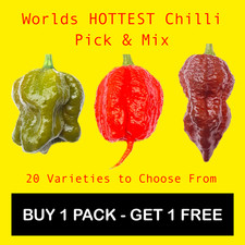 Worlds HOTTEST Chilli Seeds -