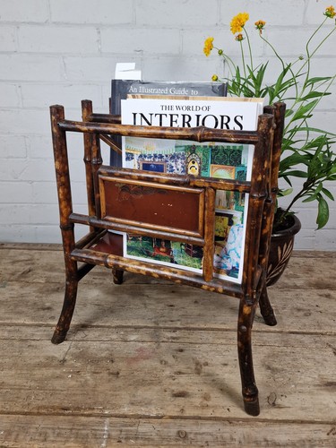 Tiger bamboo canterbury - canterbury, /