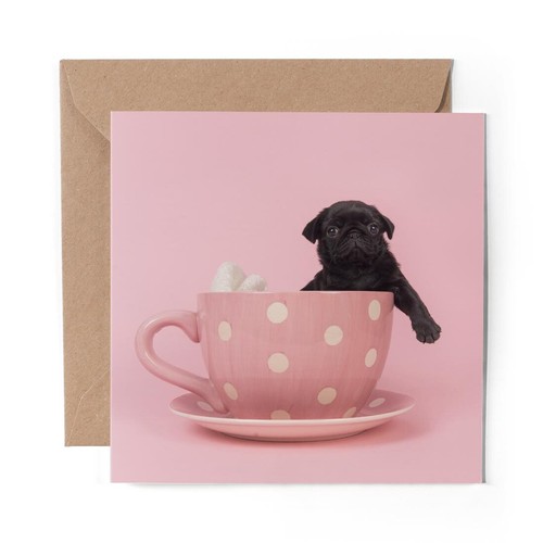 Blank greeting card - x,