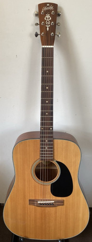 Blue ridge acoustic - blue,