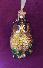 Old World Christmas Tree Ornament- Little Owl