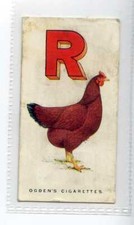 (Jf8215) OGDENS,POULTRY ALPHABET,RHODE ISLAND RED,1924,#18