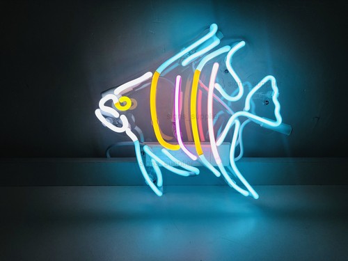 Tropical fish real glass - fish,