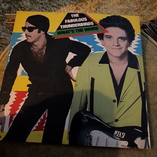 Fabulous Thunderbirds - What's