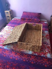 Water Hyacinth Under Bed