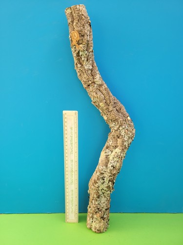 Cork bark branch 54cm - cork,