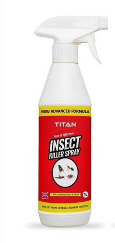 Titan insect carpet - titan,