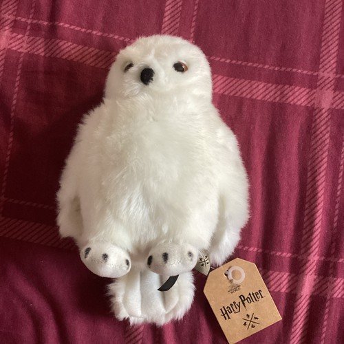 Harry potter hedwig owl - potter,