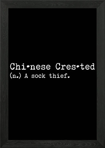 Chinese crested sock - crested,