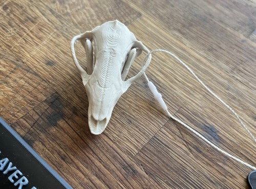Morganucodon skull replica - skull,
