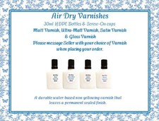 NEW Air-Dry Varnish to seal paint layers to Reborn skin.  4 different choices.