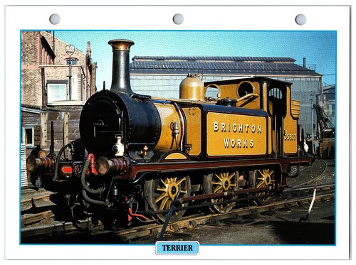 British terrier locomotive - british,