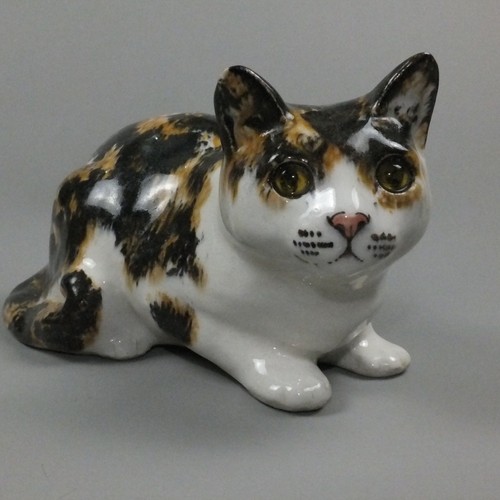 Large winstanley cat size - cat, 5