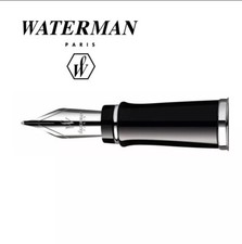 Waterman Expert Fountain Pen