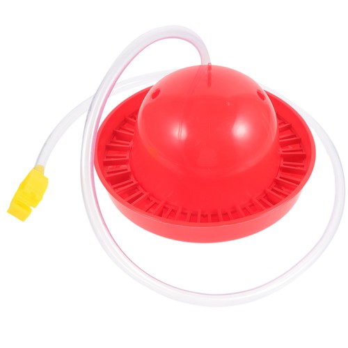 Chick food container - chick, plastic
