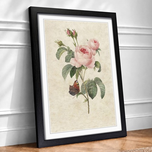 Butterfly pink rose - butterfly,