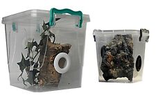 Praying Mantis,Stick