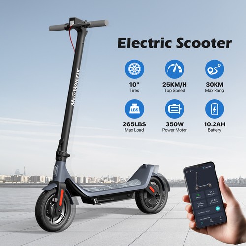 350w electric scooter - 350w,