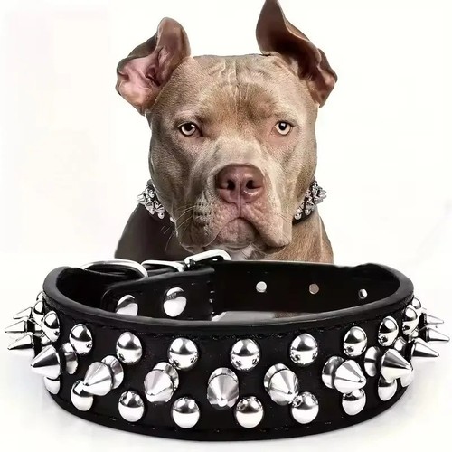 Spiked studded leather dog - leather,