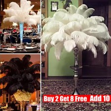 Large Ostrich Feathers