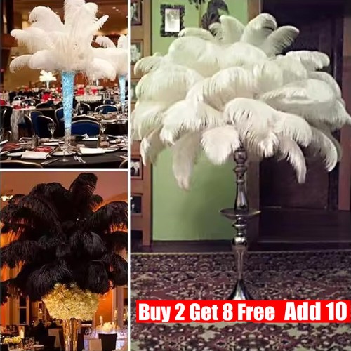 Large ostrich feathers - ostrich,