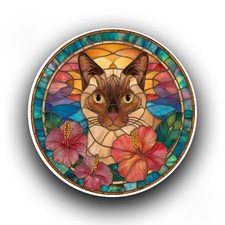 Burmese Cat Kitten Stained