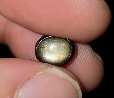 NATURAL AUSTRALIAN Fancy Black