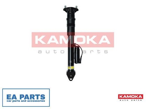 Air suspension strut for - air,