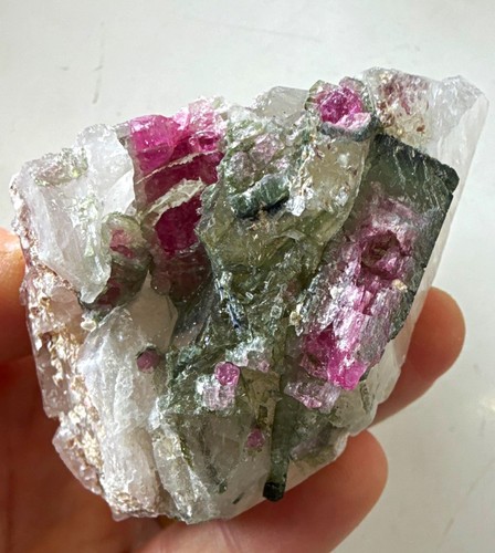 Watermelon tourmaline - watermelon, in