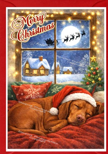 Hungarian vizsla dog christmas - hungarian,