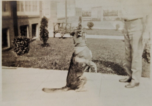 Vintage found photo - vintage,
