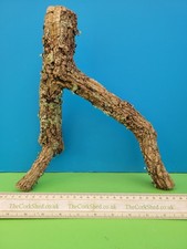 CORK BARK BRANCH 31CM SNAKE