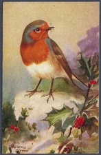 Robin by Roland Green - R.S. Art Press bird postcard